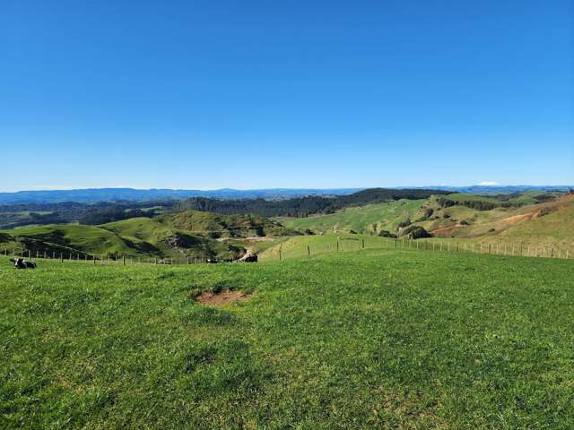 Te Anga Road Waitomo_1