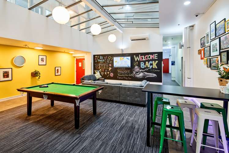 2h/242 Taranaki Street Mount Cook_10