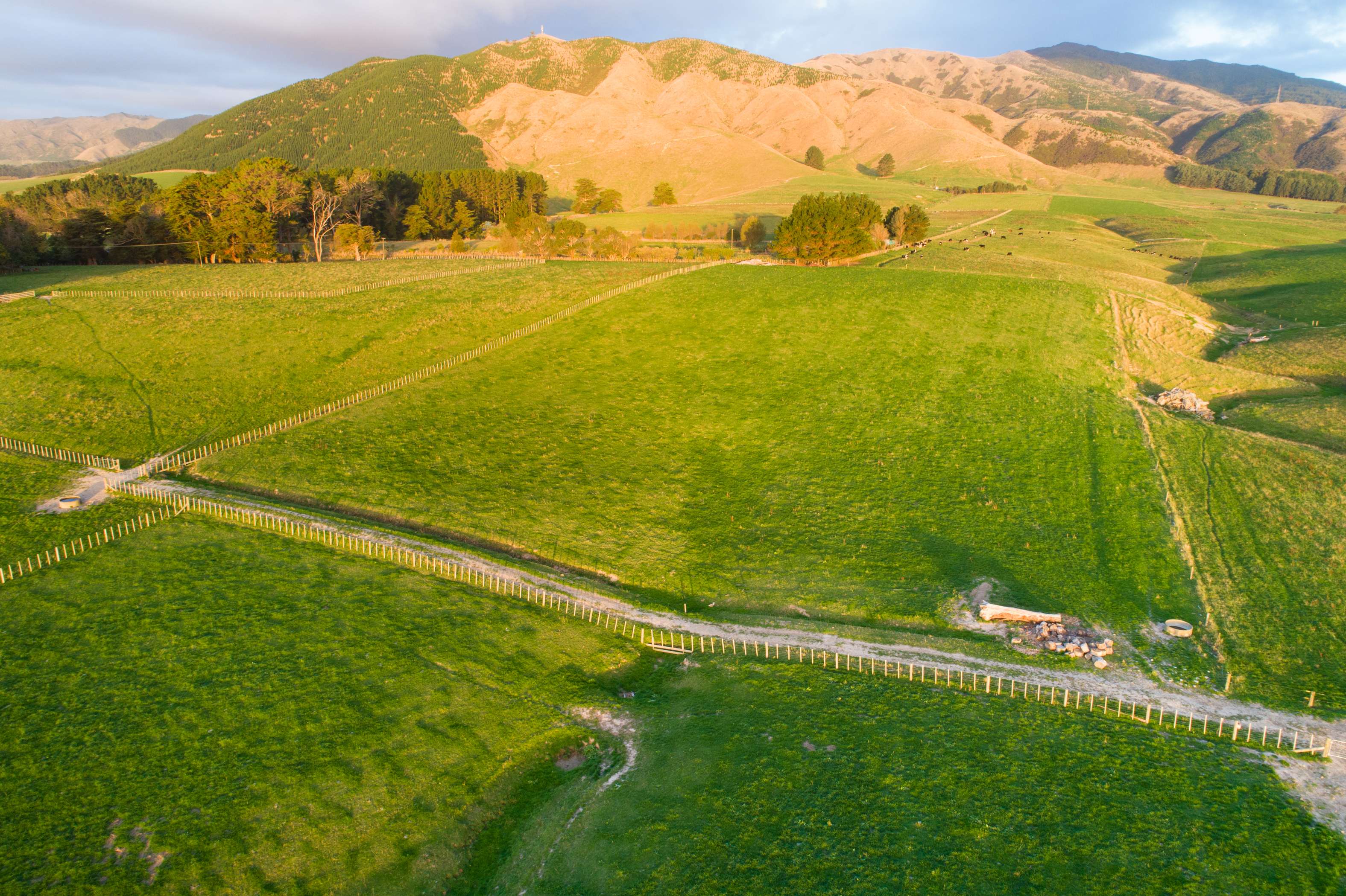 Tokomaru East Road Subdivision Tokomaru Horowhenua Rural Property