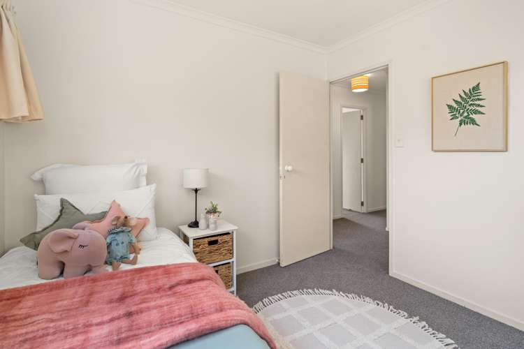 73 Marshall Avenue Greerton_8