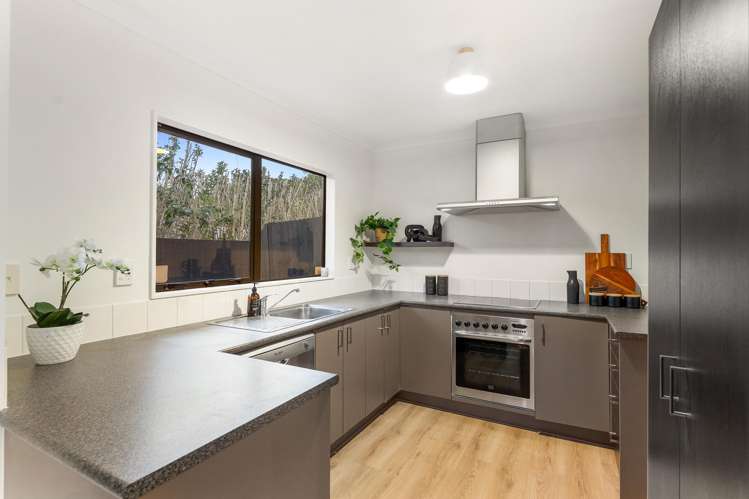 9 Western Springs Road Morningside_7