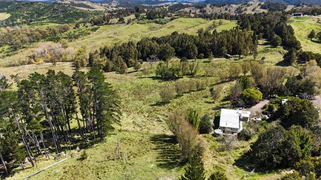 46 Buchanan Road Broadwood_4