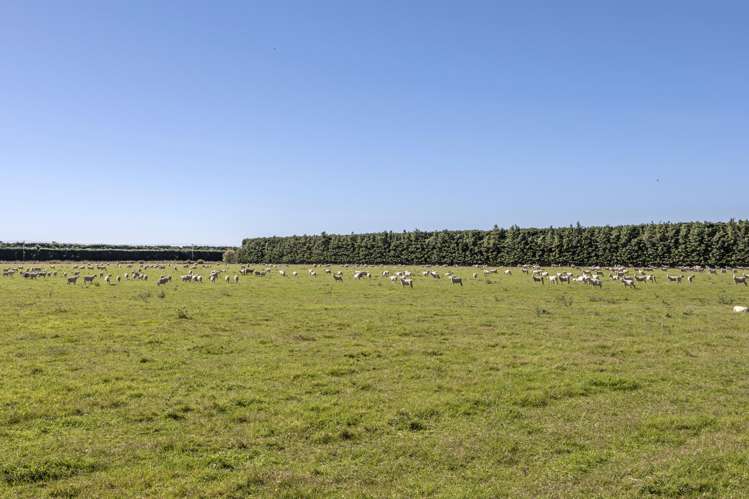 1735 Wards Road Greendale_27