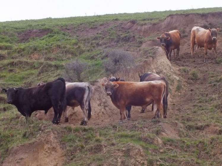 1006 Glenmark Drive Waipara_12