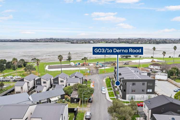 G03/1a Derna Road Panmure_7