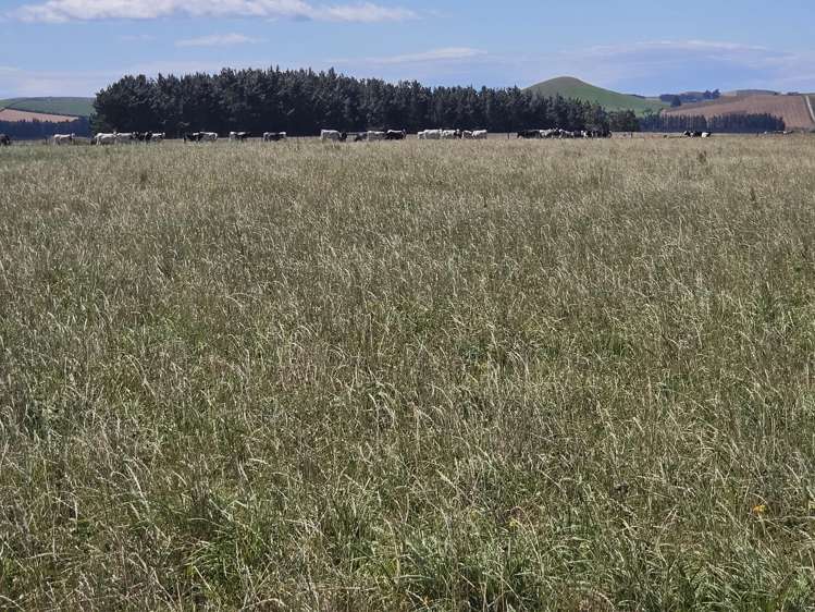 Incholme School Road Incholme_8