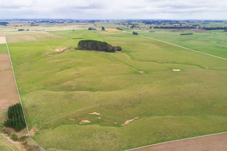 63b Sligo Terrace Roslyn_10