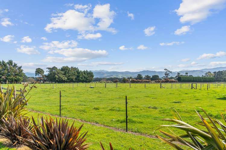 353 Hughes Line Carterton_16