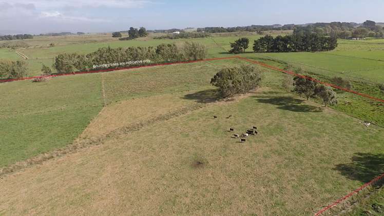 50B Painua Road Hokio Beach_12