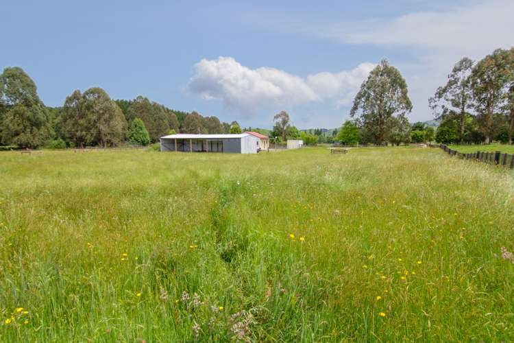 Taringamotu Road Taumarunui_15
