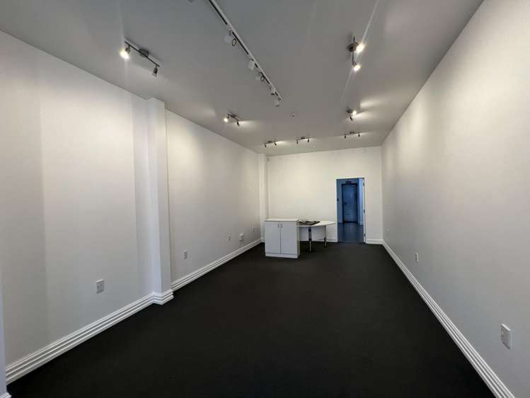 107 Vivian Street Te Aro_0