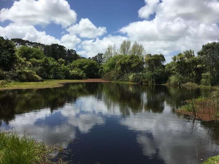 901 South Head Road South Head_11