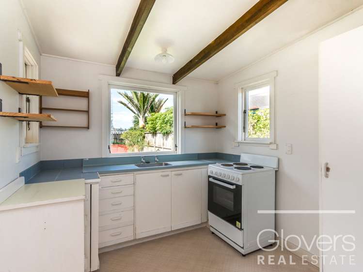 15a Powell Street Avondale_5