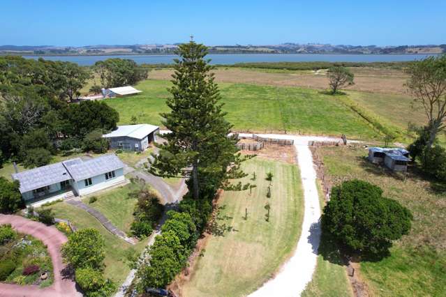 Embrace Free-Range Living at 63 Jellicoe Road