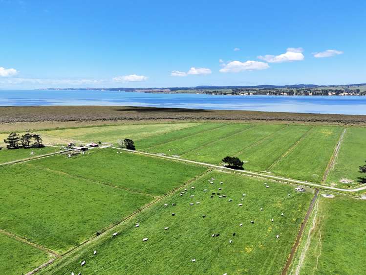 194 Whakatu Road Ruawai_11