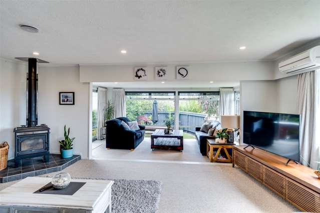 3 Plunket Street Tamatea_3