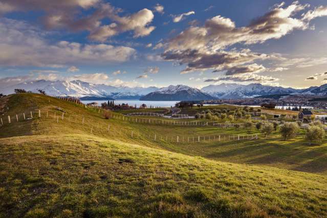 Top Paddock Wanaka_1