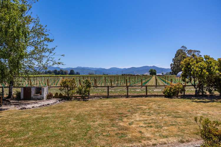 156 Old Renwick Road Springlands_16