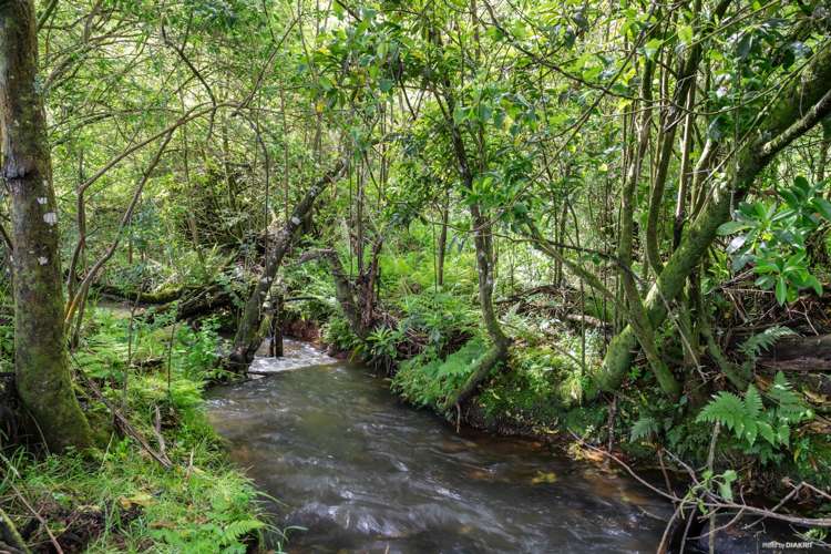 101 Pook Road Buckland_10