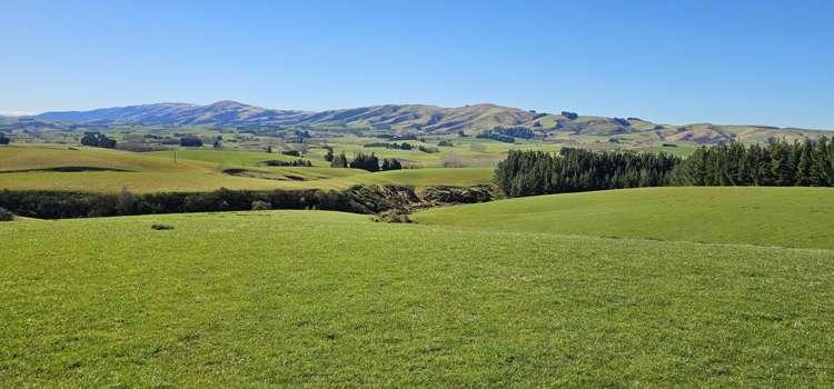 565 Bushy Park Road Waikaka_12