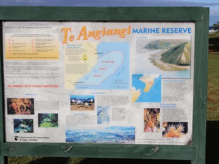 75 Shoal Beach Road Central Hawkes Bay Coastal_10