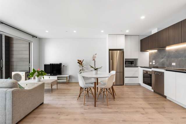 Designer Apartment in Central Albany - Must Sell