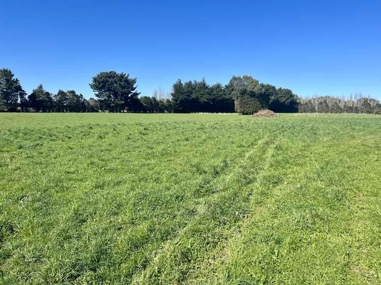 362 Lorne Dacre Road Roslyn Bush_10