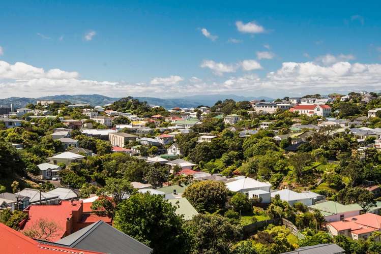 35 Reuben Avenue Brooklyn_17