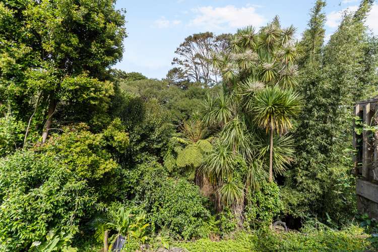 36 Paramu Avenue Birkdale_9