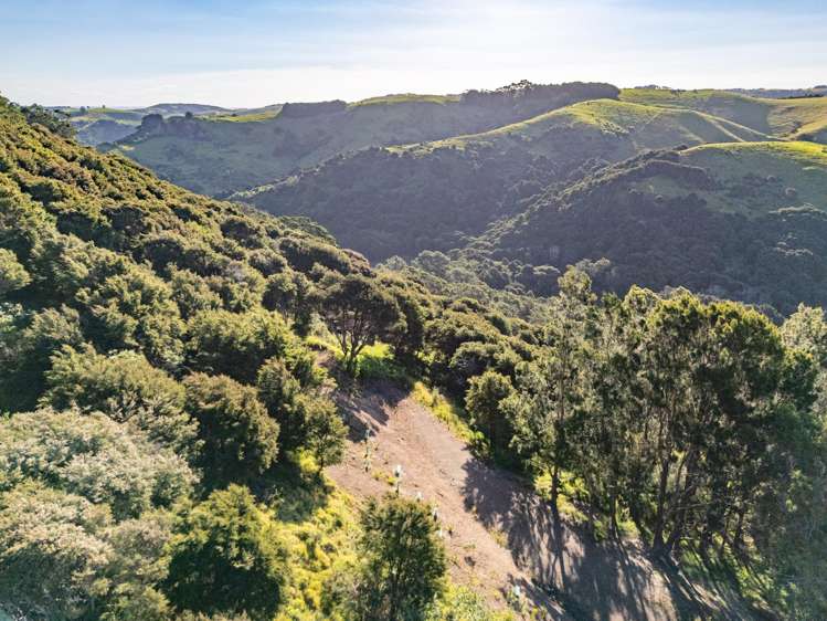 79-85 Awaawaroa Road Waiheke Island_10