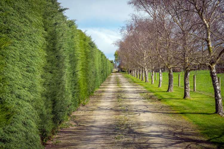 491 Seadown Road Seadown_3