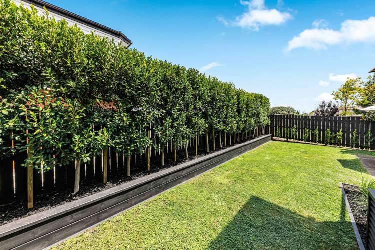 40a Alford Street Waterview_22