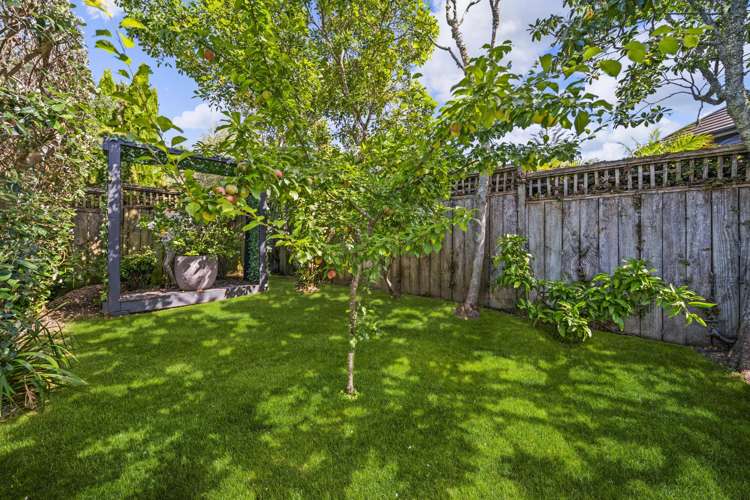 9 Langana Avenue Browns Bay_20