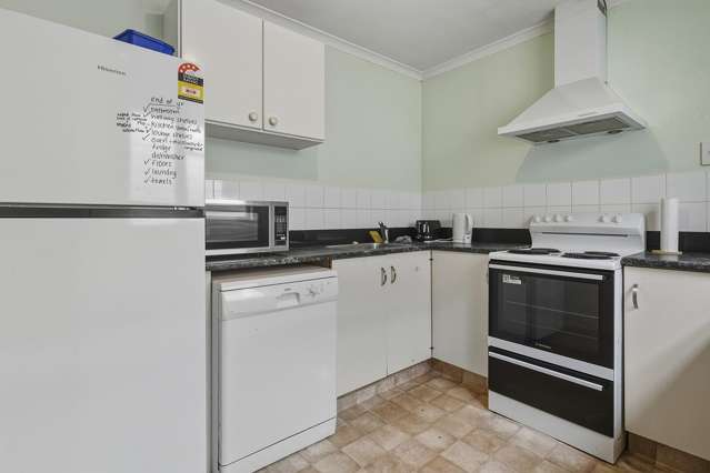 871 George Street North Dunedin_4