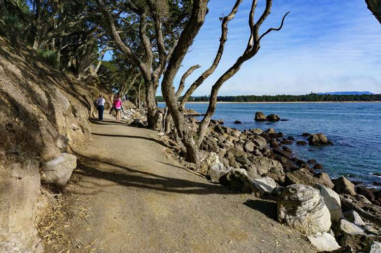 3A/21 Maunganui Road (Mount Royale) Mt Maunganui_24