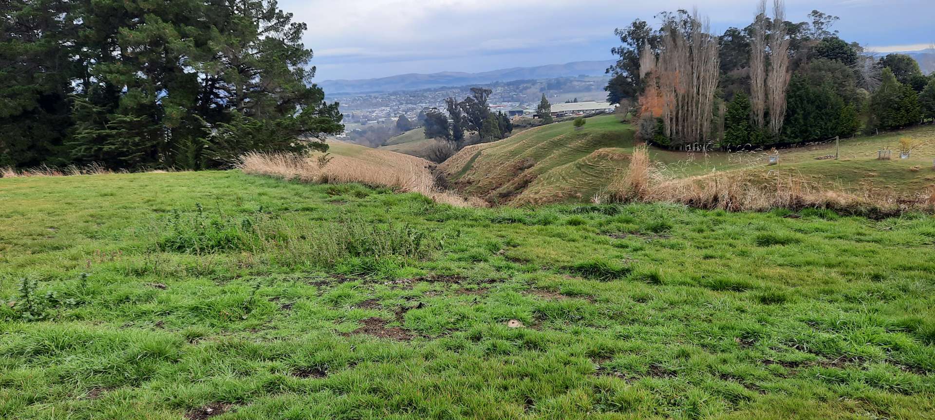 Milton Highway Balclutha_0