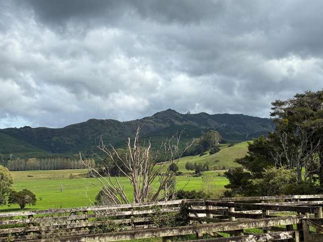 3567 Mangakahia Road Poroti_4