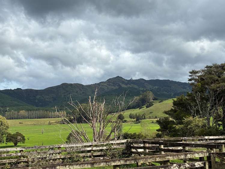 3567 Mangakahia Road Poroti_4