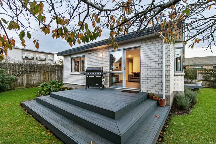 199h Captain Springs Road Onehunga_21