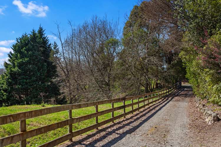 1034 Braemar Road Rotoma_11