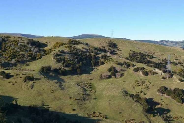 101 Wairongoa Road North Taieri_10