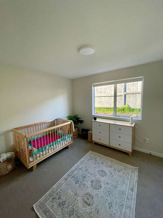 245 Jeffs Road Flat Bush_2