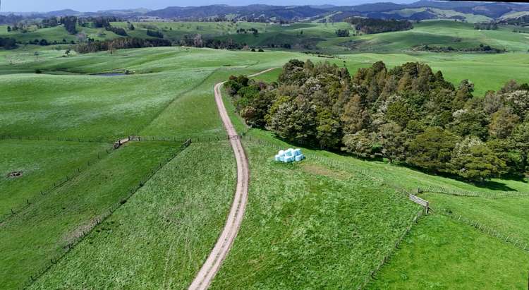 291 Prictor Road Wellsford_1