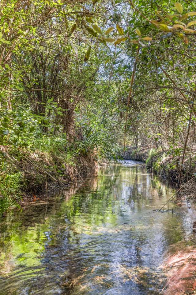 4 Wilson Drive Ohoka_2