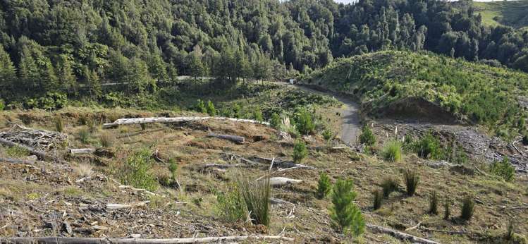 Junction Road Stratford_13