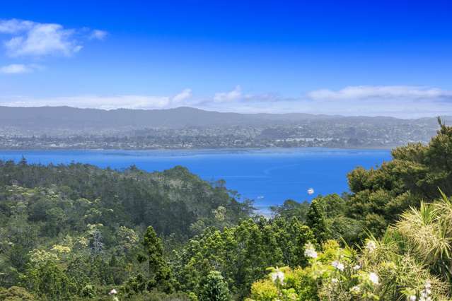 1/20 Waipa Street Birkenhead_1