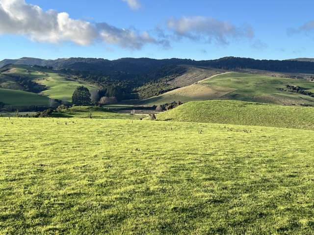 Remote Sanctuary Found!