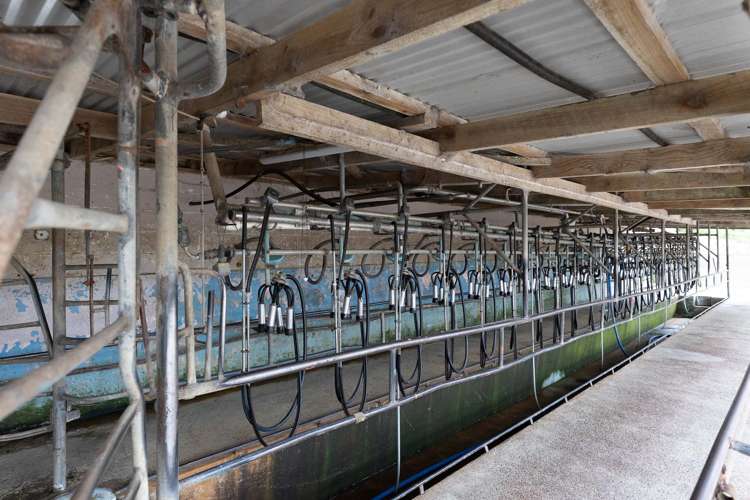 136 Simpkin Road Ruawai_7