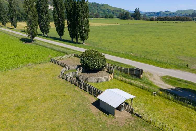 1691 Kawhatau Valley Road Mangaweka_25