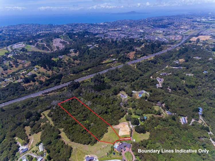 249a Wright Road Dairy Flat_1